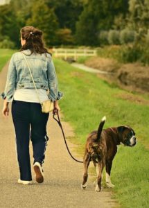 Woman walking with a big dog