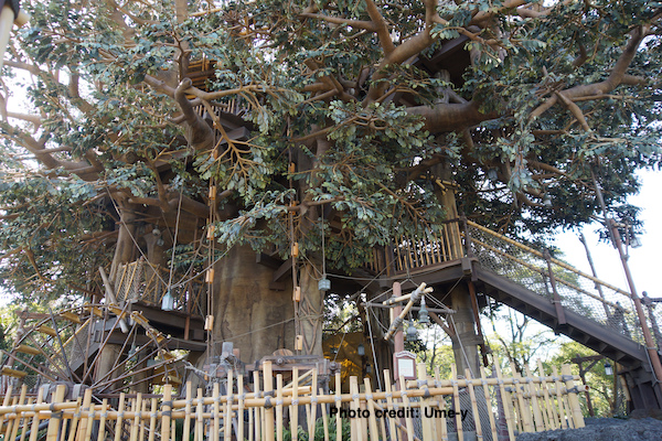 Swiss Family Robinson tree